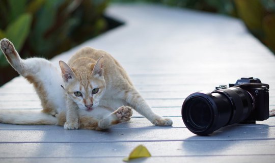 cover #ระนอง# บ้านในหมง / The Hidden Resort เดอะ ฮิดเด้น ทริปเน้นกินนอน