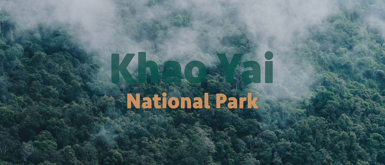 cover เขาใหญ่ ป่าใหญ่ ใกล้บ้าน