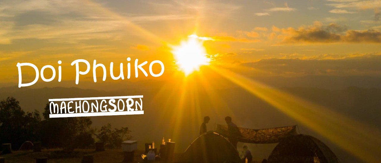 cover ดอยพุยโค ไม่มีโคได้ไง