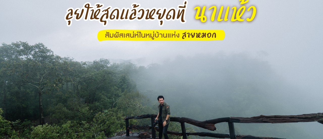 cover คนหลงทาง #17 : ลุยให้สุดแล้วหยุดที่ ‘น า เ เ ห้ ว’ สัมผัสเสน่ห์ในหมู่บ้านแห่งสายหมอก