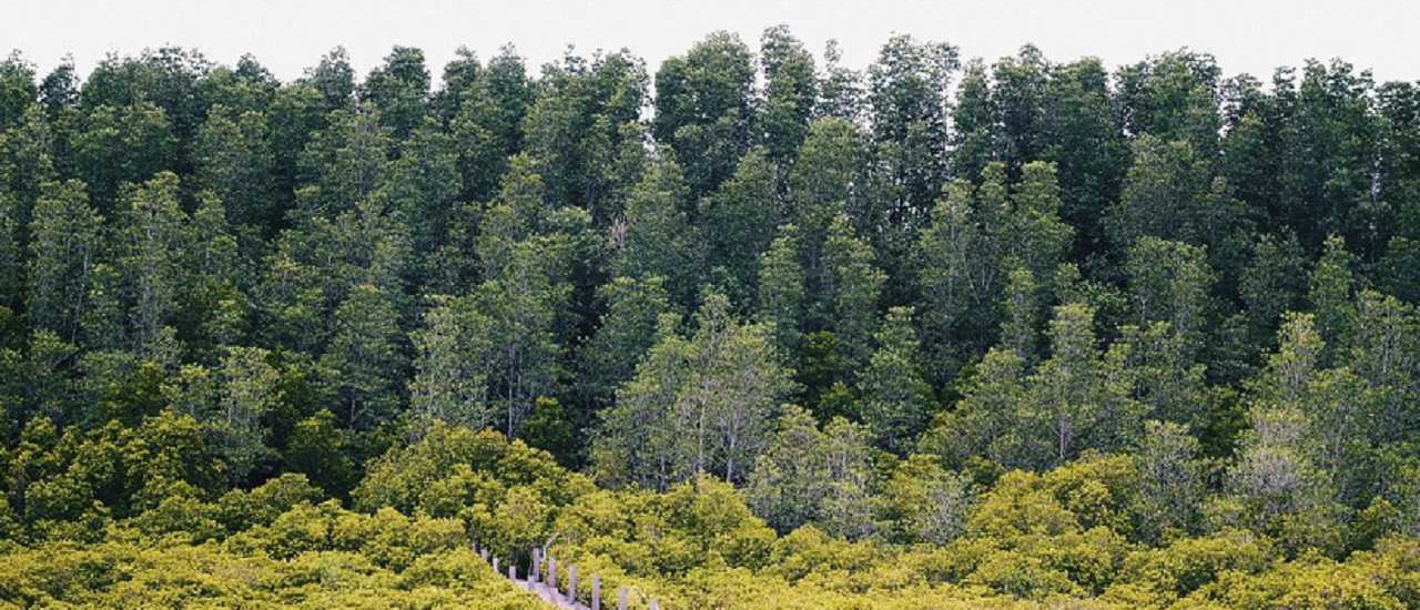 cover One Day Trip - ปากน้ำประแส...ที่นี่มีอะไรดี :)