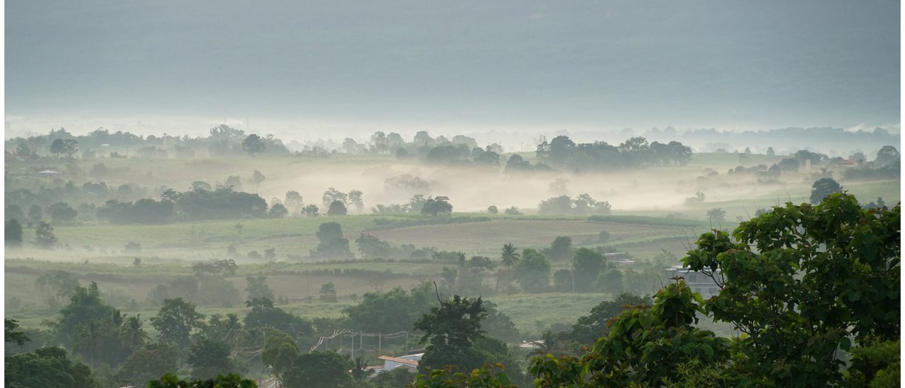 cover #วังน้ำเขียว# ชวนไปส่องพี่ทองดี กระทิงหนุ่มใหญ่วัยฉกรรจ์และเพื่อนพ้องที่เขาแผงม้า