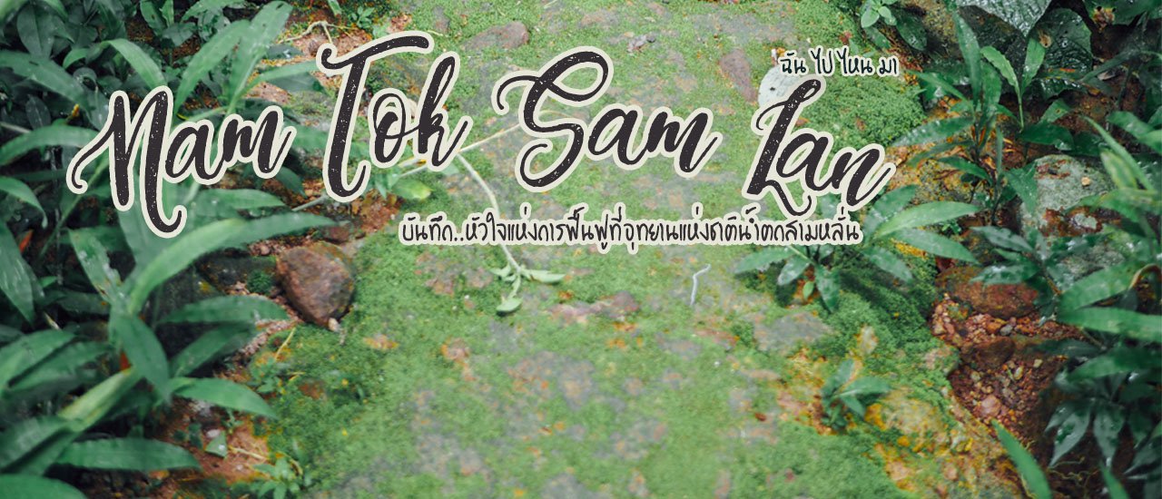cover บันทึก..หัวใจแห่งการฟื้นฟูที่อุทยานแห่งชาติน้ำตกสามหลั่น