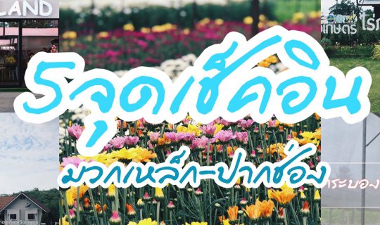cover 5 จุดเช็คอิน มวกเหล็ก-ปากช่อง