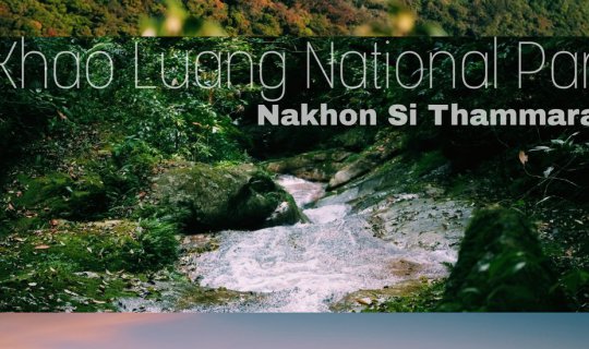 Cover เขาหลวงนครศรีธรรมราช ความอุดมสมบูรณ์แห่งป่าใต้...
