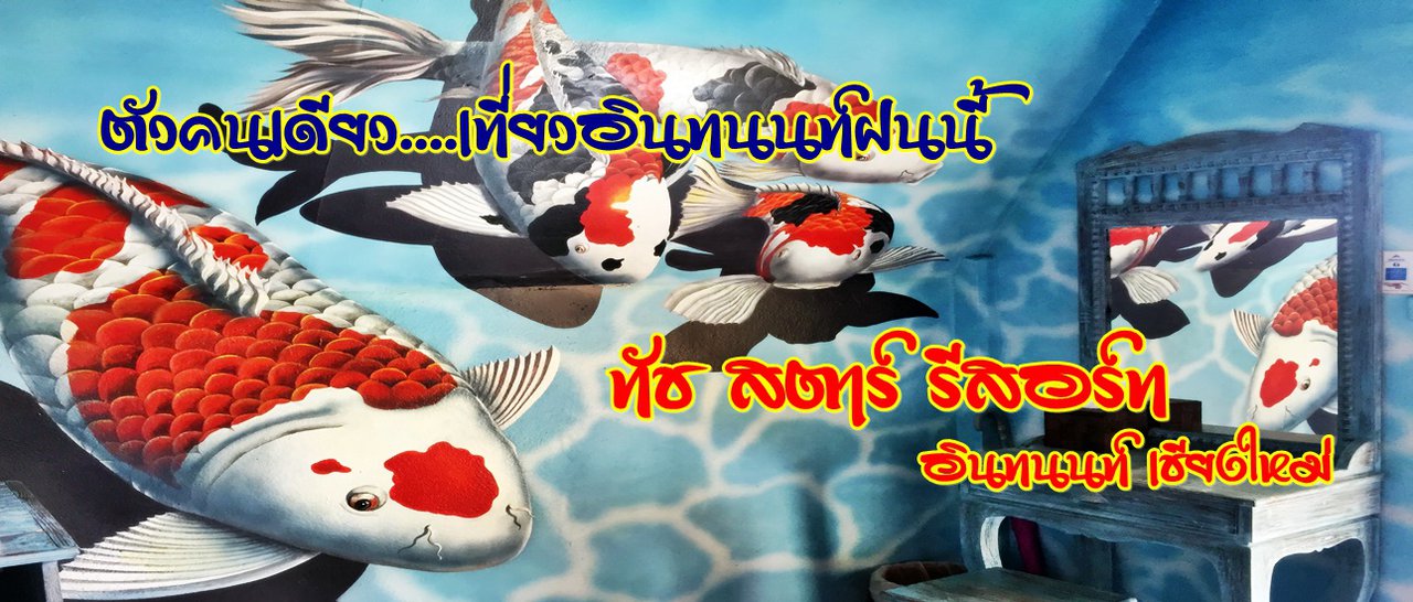 cover ตัวคนเดียว....เที่ยวอินทนนท์ฝนนี้ :: ทัช สตาร์ รีสอร์ท รีสอร์ทน้ำแร่ธรรมชาติ ดอยอินทนนท์ เชียงใหม่