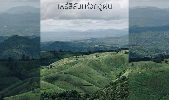 Cover "แพร่สีสันของฤดูฝน"...