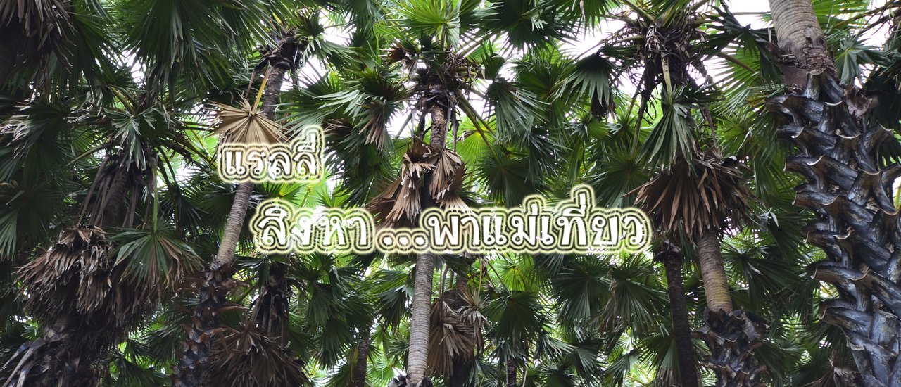 cover แรลลี่ สิงหา ... พาแม่เที่ยว