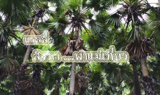 cover แรลลี่  สิงหา ... พาแม่เที่ยว