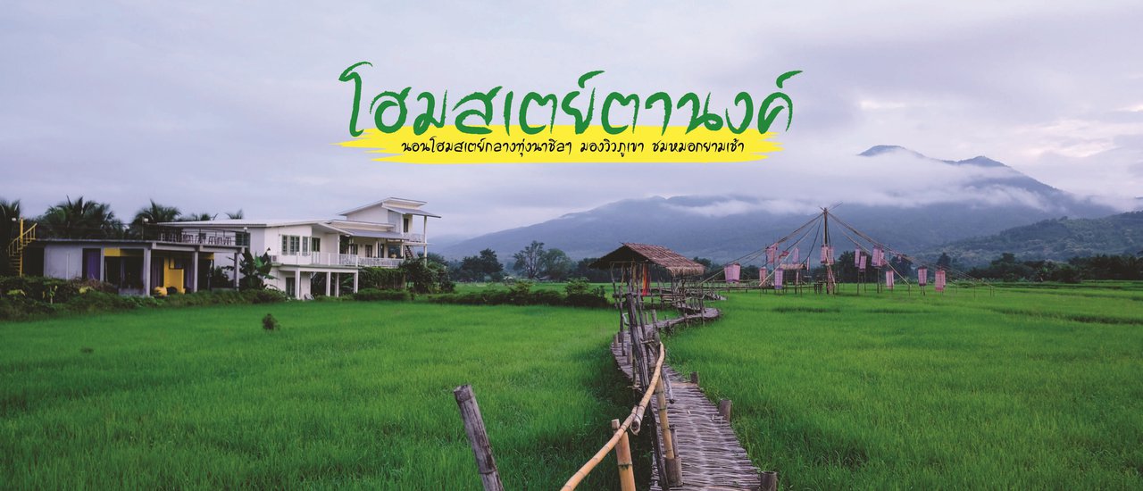 cover โฮมสเตย์ตานงค์ : นอนโฮมสเตย์กลางทุ่งนาชิลๆ มองวิวภูเขา ชมหมอกยามเช้า