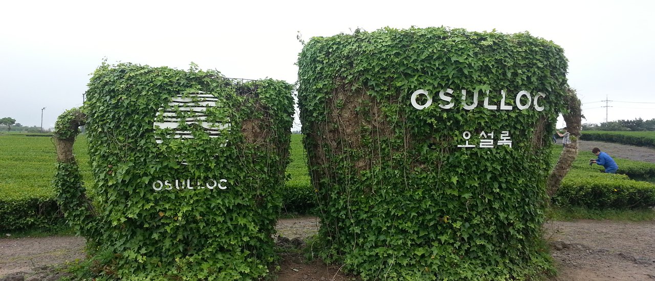 cover ใส่เสื้อกันหนาวเที่ยวทะเลเจจู