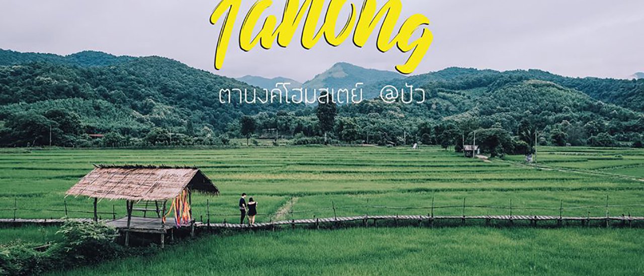 cover สัมผัสความเขียวที่ ” ตานงค์โฮมสเตย์ ” อ.ปัว