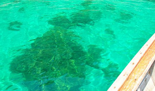 cover Koh Lipe : The Heaven on Earth that you can touch