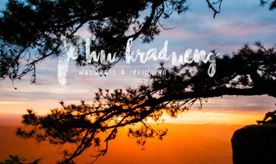 Cover นายตัวน้อย : พาพิชิตภูกระดึง 2 ฤดู ฝนและหนาว (เดินทางด้วยรถประจำทาง)...