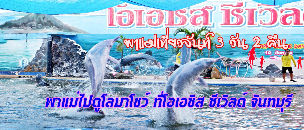 cover พาแม่เที่ยวจันท์ 3 วัน 2 คืน :: พาแม่ไปดูโลมา โชว์ที่ โอเอซิส ซีเวิลด์ จันทบุรี