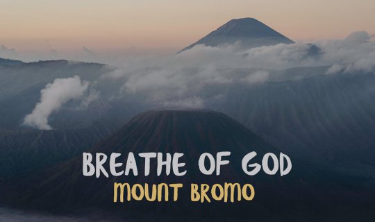 Cover Bromo's Components...