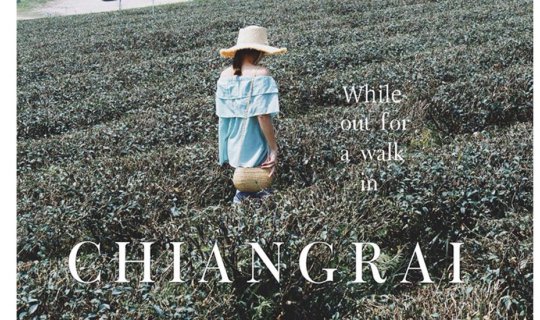 cover While out for a walk in Chiangrai (Part 1)