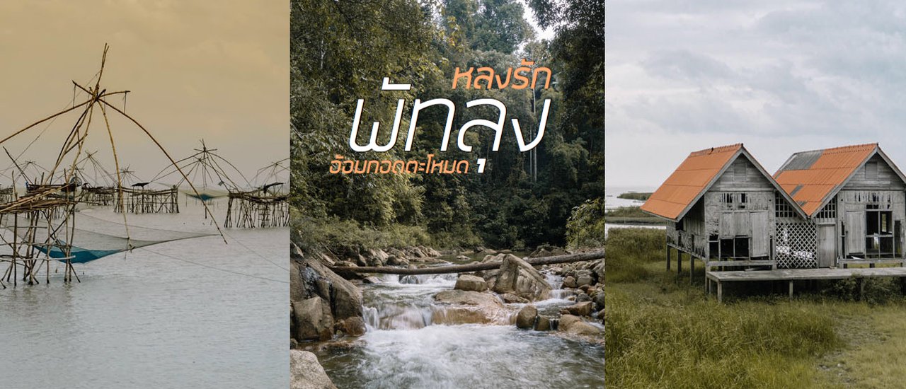 cover อส.9 อ้อมกอดตะโหมด ไปพักกายท่ามกลางธรรมชาติและป่าเขา อีกหนึ่งสถานที่น่าเที่ยว ของจ.พัทลุง