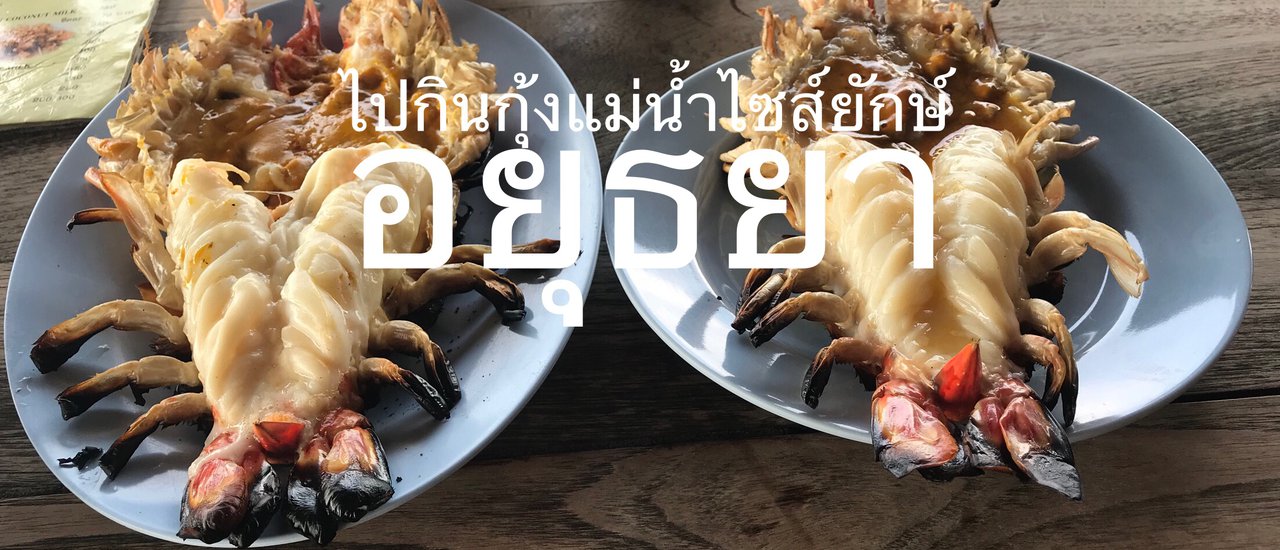 cover กุ้งแม่น้ำตัวโตๆ น้ำจิ้มแซ่บๆ ริมแม่น้ำเจ้าพระยา