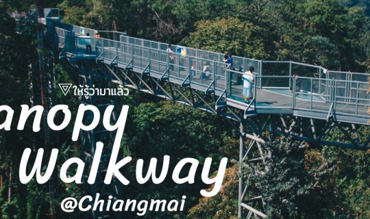 cover ให้รู้ว่ามาแล้ว Canopy Walkway ทางเดินเหนือเรือนยอดไม้ที่ยาวที่สุดในประเทศไทย