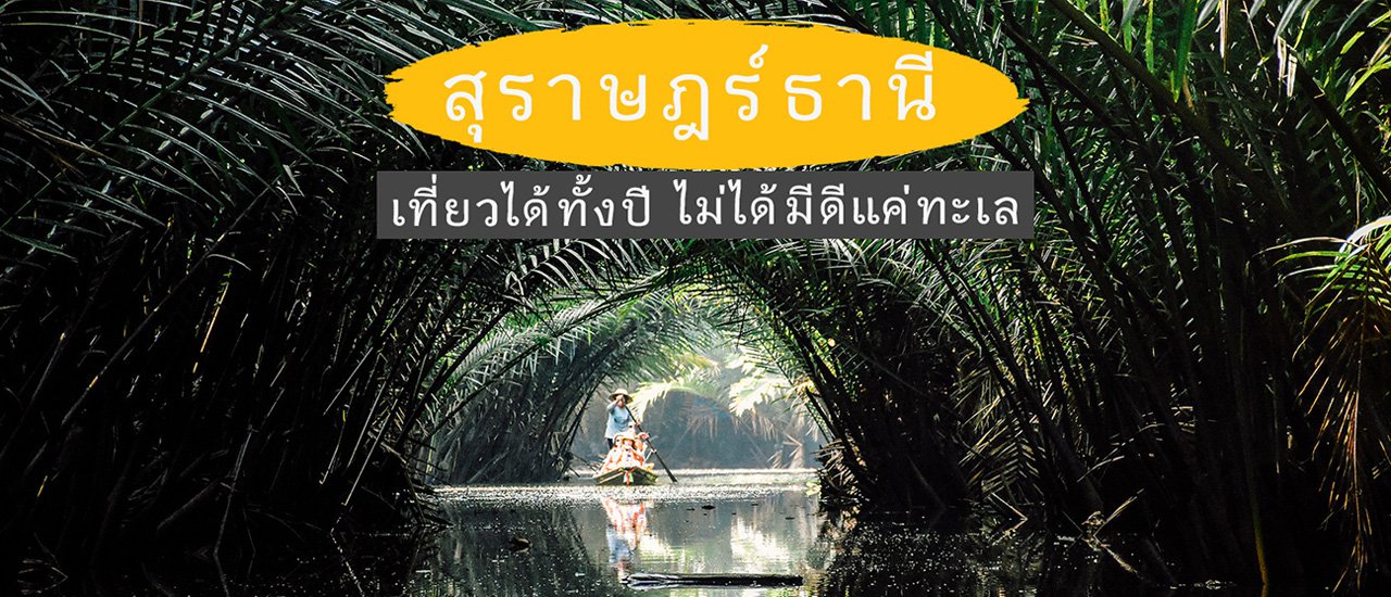 cover สุราษฎร์ธานี เที่ยวได้ทั้งปี แบบว่าไม่ต้องง้อทะเล