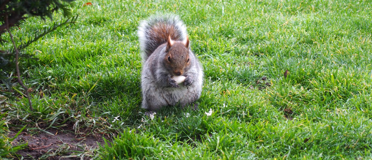 cover New York - Washington DC - Las Vegas - Boston MA 4 เมือง 16 วัน เที่ยวคนเดียวประสบการณ์ใหม่ แต่ได้เพื่อนใหม่ (Part 2)