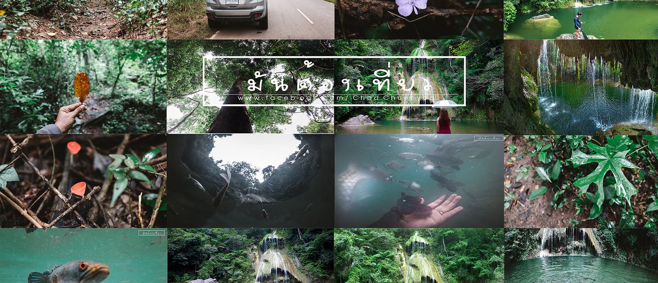 cover เ ที่ ย ว ป่ า ดิ บ ๆ . . . . ดำ น้ำ กั บ ฝู ง ป ล า....... เ ล่ น น้ำ ต ก ใ ส ๆ  สี เ ขี ย ว ม ร ก ต  '' เ พ ช ร บุ รี ''