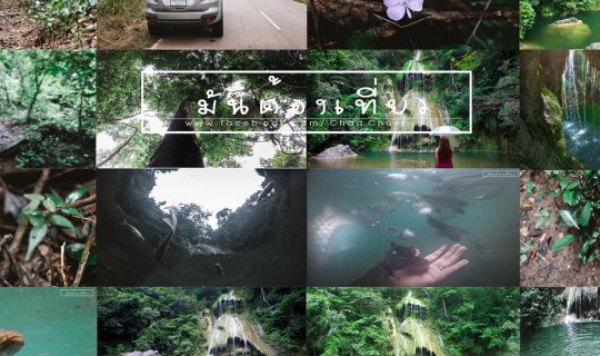 Cover เ ที่ ย ว ป่ า ดิ บ ๆ . . . . ดำ น้ำ กั บ ฝู ง ป ล า....... เ ล่ น น...