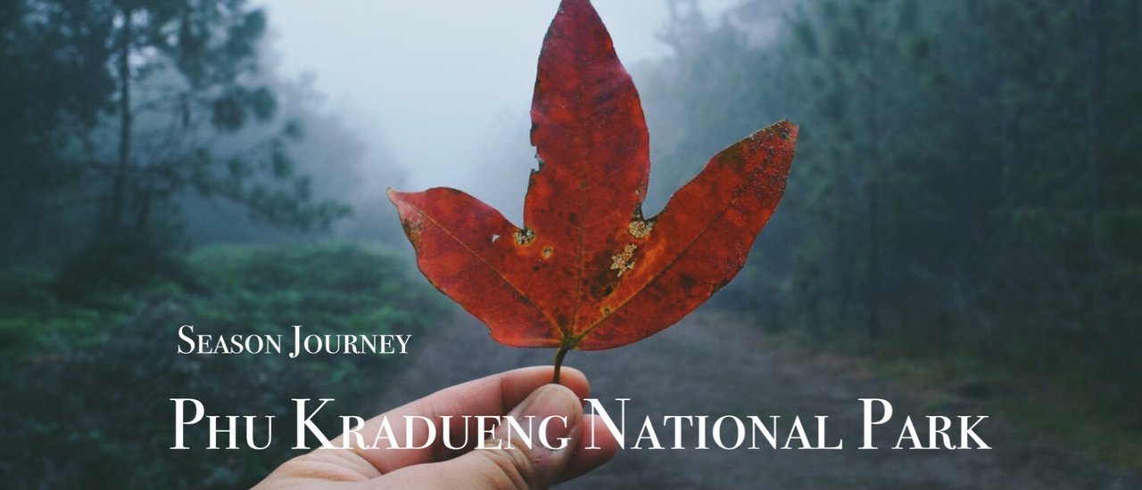 cover ''ภูกระดึง'' กับ ผู้หญิงหยิ่งแบกเป้