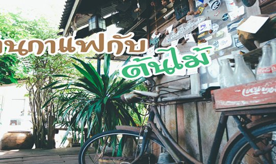 cover ร้านกาแฟกับต้นไม้