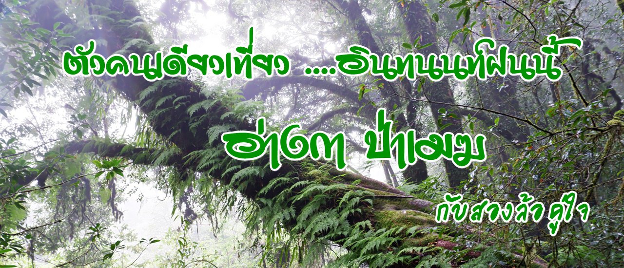 cover ตัวคนเดียวเที่ยว ....อินทนนท์ฝนนี้ :: อ่างกา ป่าเมฆ กับสองล้อคู่ใจ