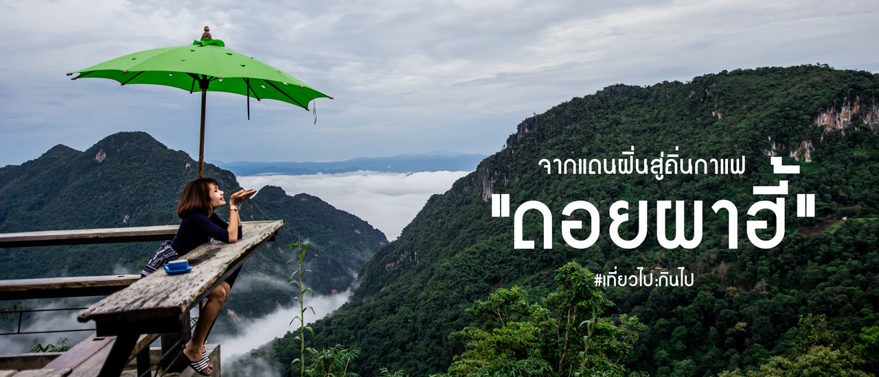 cover "ดอยผาฮี้" จากแดนฝิ่นสู่ถิ่นกาแฟ