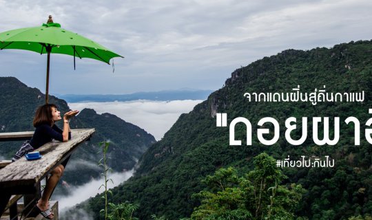 cover "ดอยผาฮี้" จากแดนฝิ่นสู่ถิ่นกาแฟ