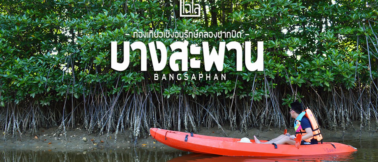 cover นั่งรถไฟ.. ไปบางสะพาน : พายคายัค ชมธรรมชาติ ณ ท่องเที่ยวเชิงอนุรักษ์คลองปากปิด