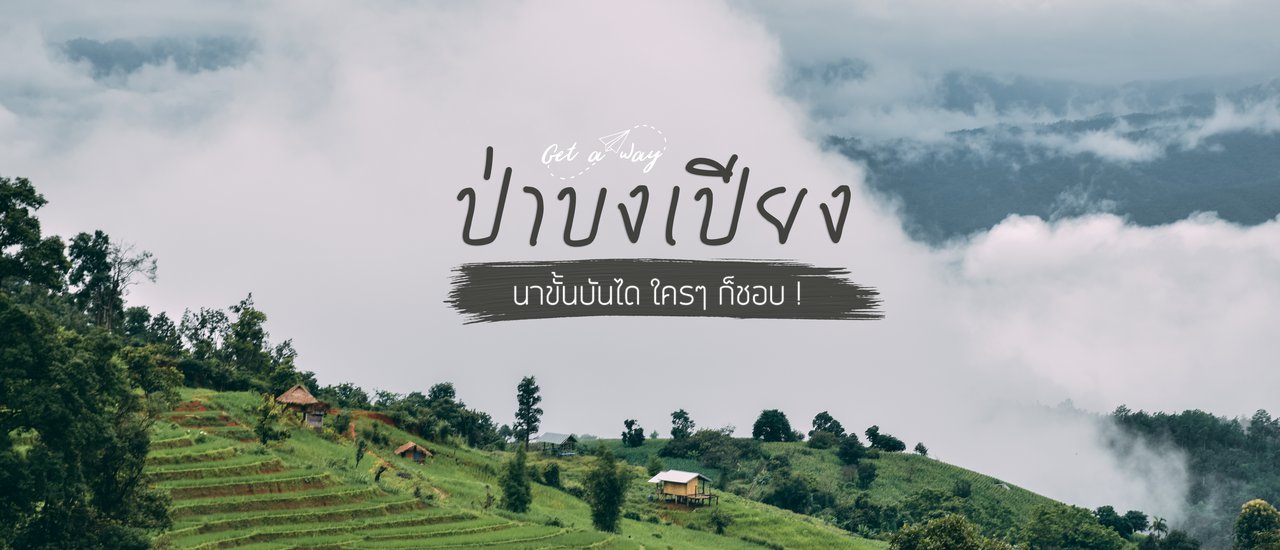 cover ป่าบงเบียง นาขั้นบันได ใครๆ ก็ชอบ !
