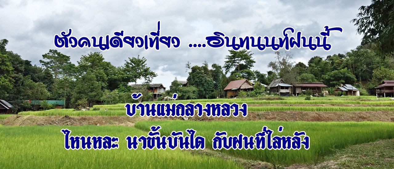 cover ตัวคนเดียวเที่ยว ....อินทนนท์ฝนนี้ :: บ้านแม่กลางหลวง ไหนหละ นาขั้นบันได กับฝนที่ไล่หลัง