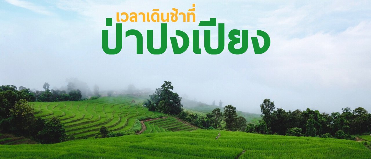 cover เวลาเดินช้า ที่ ป่าปงเปียง