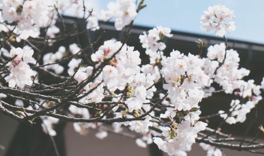 cover ☆ TAKE ME TO JAPAN シ : เดินเล่น สะพายกล้อง ท่องญี่ปุ่น ฉบับเด็ก(เพิ่งจบ)มัธยม