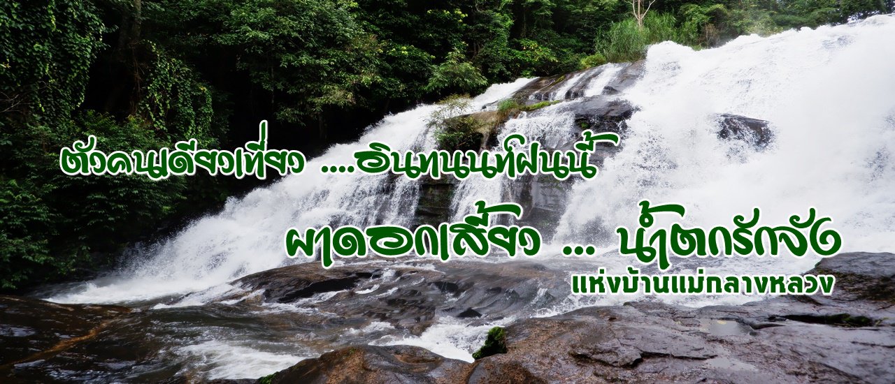 cover ตัวคนเดียวเที่ยว ....อินทนนท์ฝนนี้ :: ผาดอกเสี้ยว น้ำตกรักจัง แห่งบ้านแม่กลางหลวง