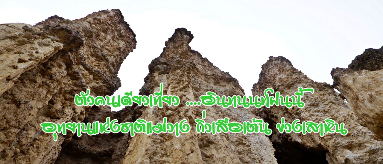 cover ตัวคนเดียวเที่ยว ....อินทนนท์ฝนนี้ :: อุทยานแห่งชาติแม่วาง กิ่วเสือเต้น ข่วงเสาหิน