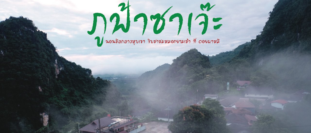 cover ภูฟ้าซาเจ๊ะ : นอนชิลชมวิวภูเขา จิบชาชมหมอกยามเช้า ที่ ดอยผาหมี