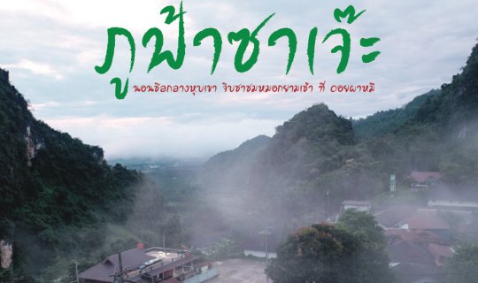 cover ภูฟ้าซาเจ๊ะ : นอนชิลชมวิวภูเขา จิบชาชมหมอกยามเช้า ที่ ดอยผาหมี