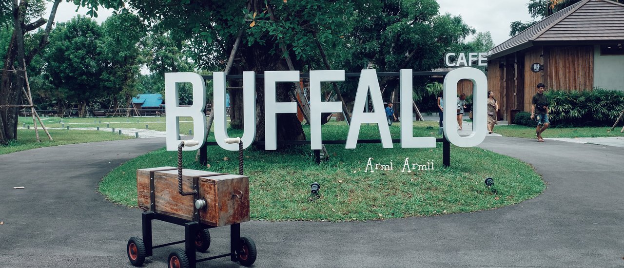 cover จิบกาแฟเพลิน ๆ แล้วเดินดูควายแคระ ที่ "THE BUFFALO CAFE"