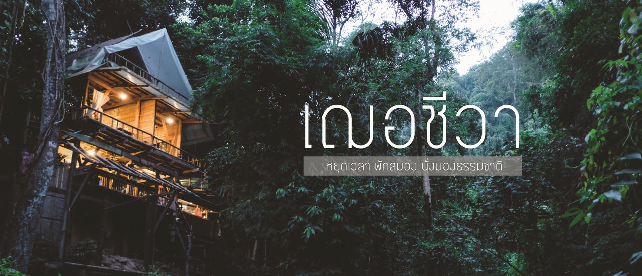 cover เฌอชีวา : หยุดเวลา พักสมอง นั่งมองธรรมชาติ