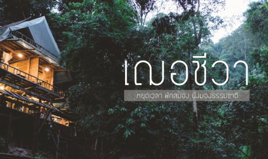 cover เฌอชีวา : หยุดเวลา พักสมอง นั่งมองธรรมชาติ