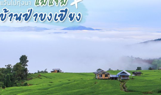 cover บ้านป่าบงเปียง - แม่แจ่ม เช่ามอเตอร์ไซค์แว้นไปทุ่งนา