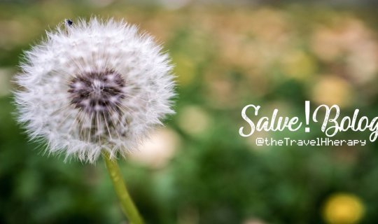 Cover Salve! Bologna โบโลญญ่า ไม่ใช่ใส้กรอกนะ...