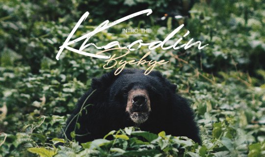 cover Intro the ... Dusit Zoo ...