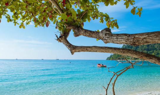 cover Camping at Koh Rok By Touch Your Life