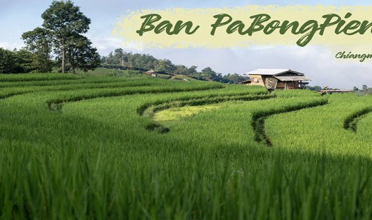 Cover เวลาช้าลง ณ ป่าบงเปียง...